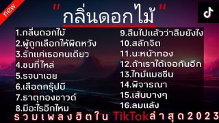 TikTok 2023 รวมเพลง |กลิ่นดอกไม้|ผู้ถูกเลือกให้ผิดหวัง|รักแค่เธอคนเดียว|