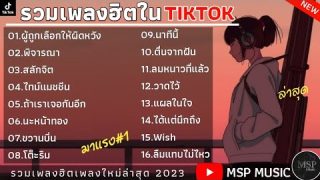 รวมเพลงฮิตใน TikTok ทำออกมาเพื่อความบันเทิง สามารถฟังได้ทุกสถานการณ์