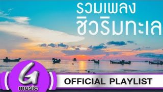 รวมเพลงชิวๆ เหมือนอยู่บนหาดทราย เพลงต่อเนื่องใหม่ล่าสุด