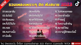 รวมเพลงฮิตจาก TIKTOK รวมเพลงดังหลากหลายแนว