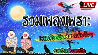 🔴 สด ฟังเพลงสตริงยาวต่อเนื่อง ใหม่ล่าสุด รวมเพลงเพราะไว้ที่เดียว